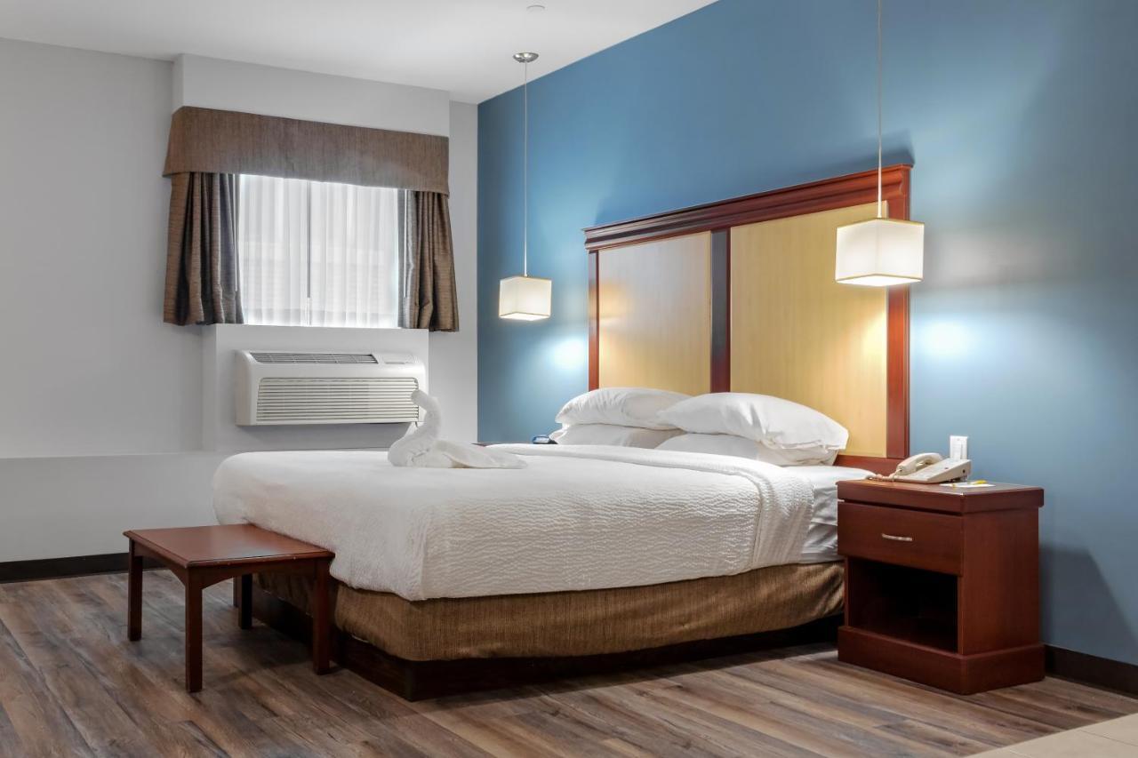 Premier Inn & Suites - Downtown Hamilton Dış mekan fotoğraf